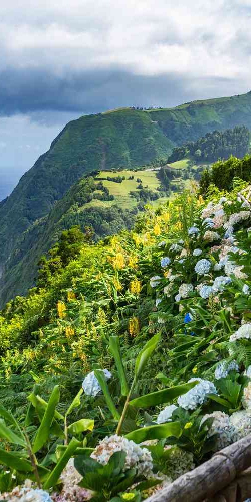 Neighbourhood vibes São Miguel, PT