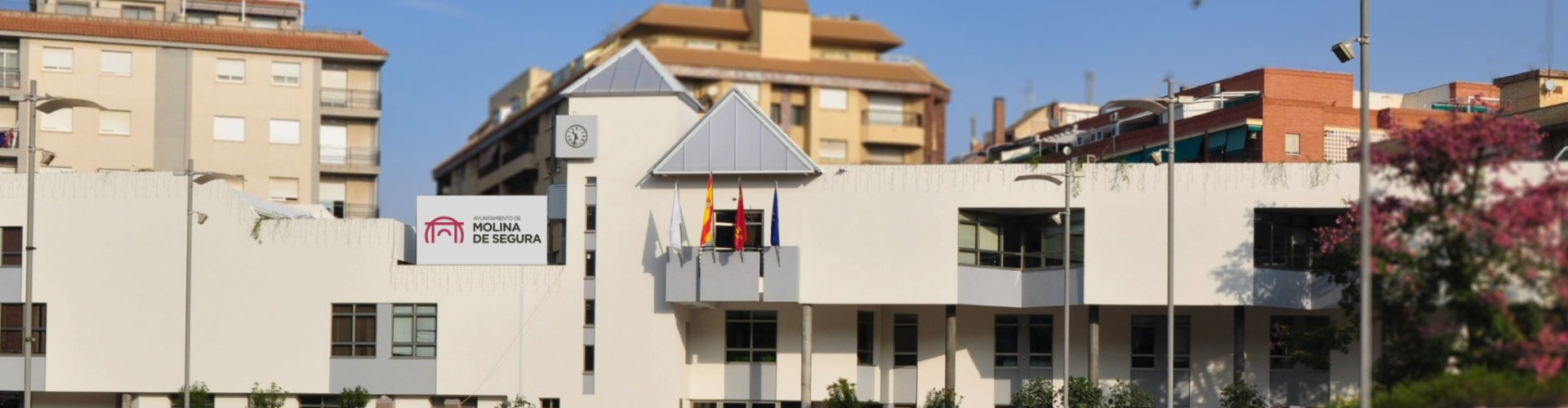 Scenic view of Molina de Segura surroundings