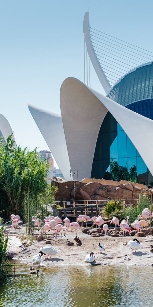 Valencia Neighbourhood