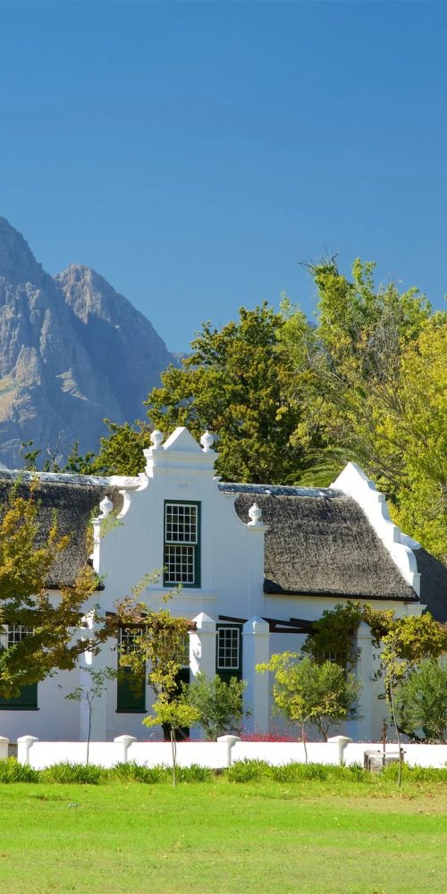 Local neighbourhood vibes in Stellenbosch