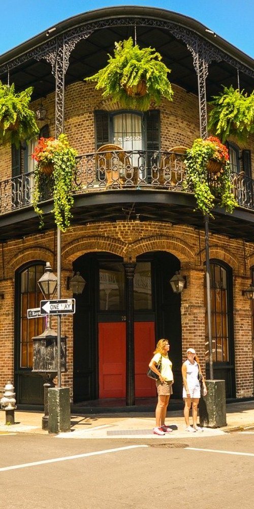 Garden District Apartment View