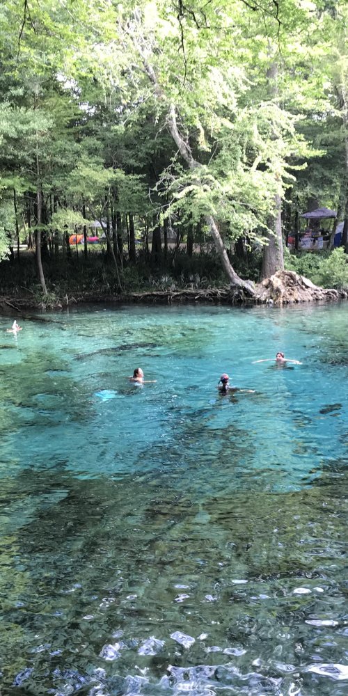 Neighbourhood vibes in High Springs, FL, US