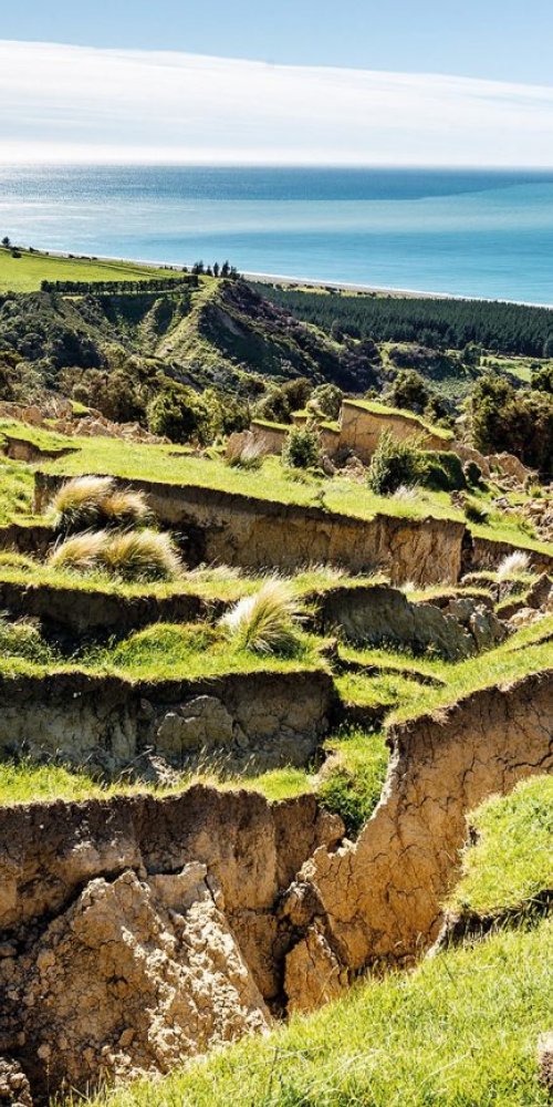 Kaikōura Neighbourhood Vibes