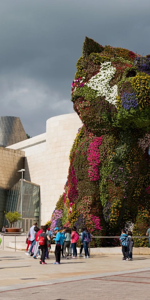 Neighbourhood life in Bilbao