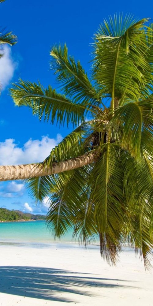 Neighbourhood vibes in Praslin