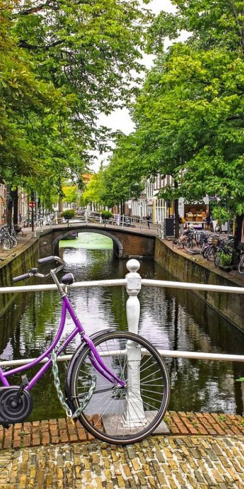 Amsterdam Neighbourhood Vibes