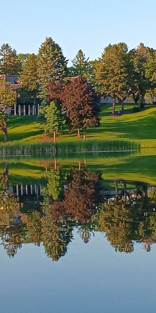 Neighbourhood vibes in Ramsey, MN, US