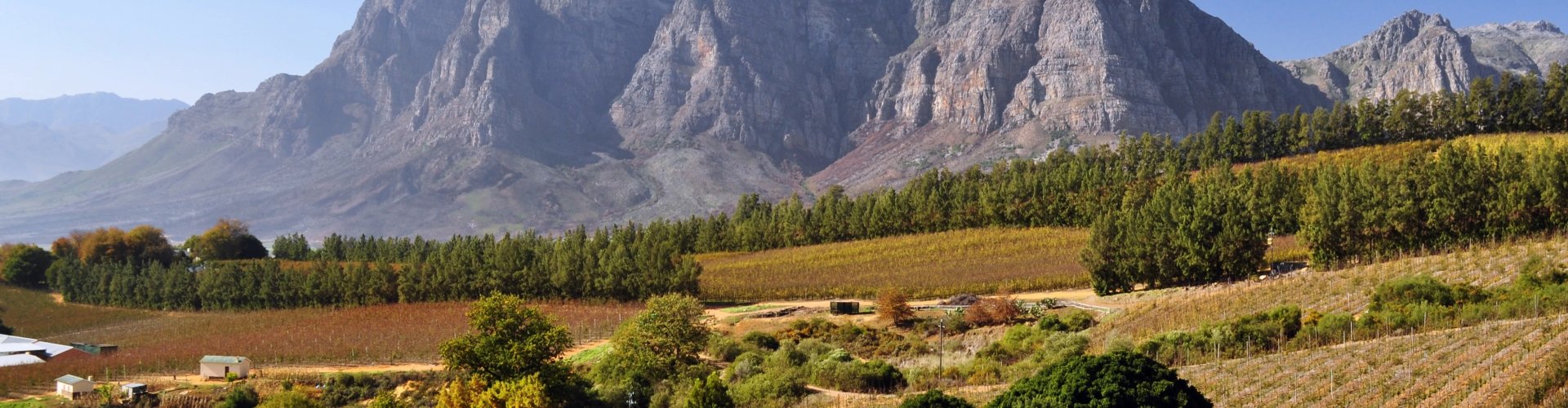 Scenic view of Stellenbosch, ZA