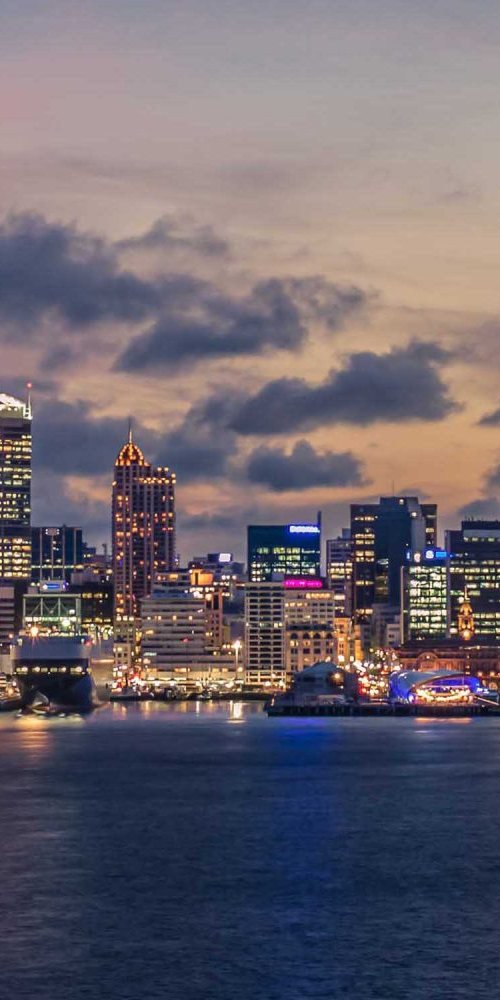 Auckland neighbourhood vibes