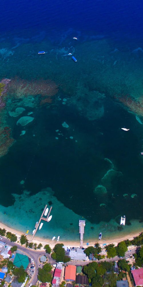 Co-living apartment in Roatán