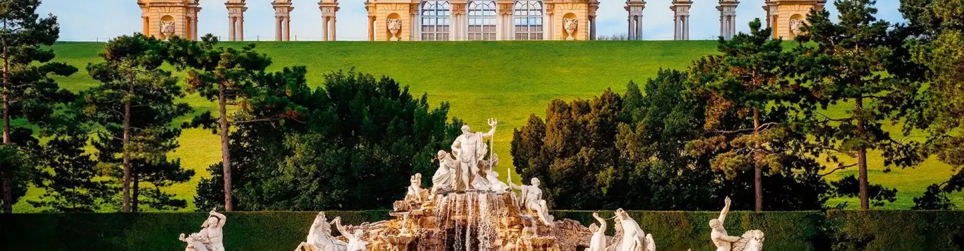 Vienna City View